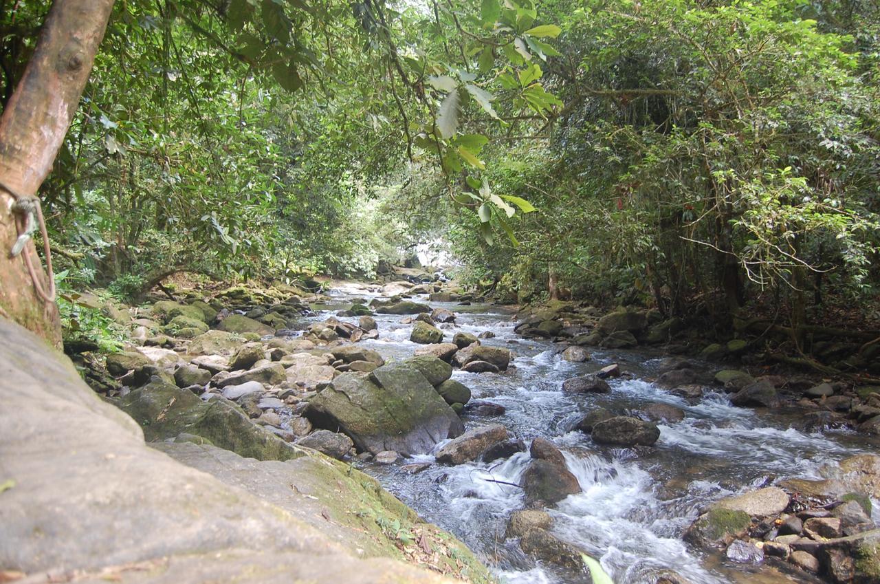 Pousada Portal Do Cacau-Petfriendly Camburi  Dış mekan fotoğraf