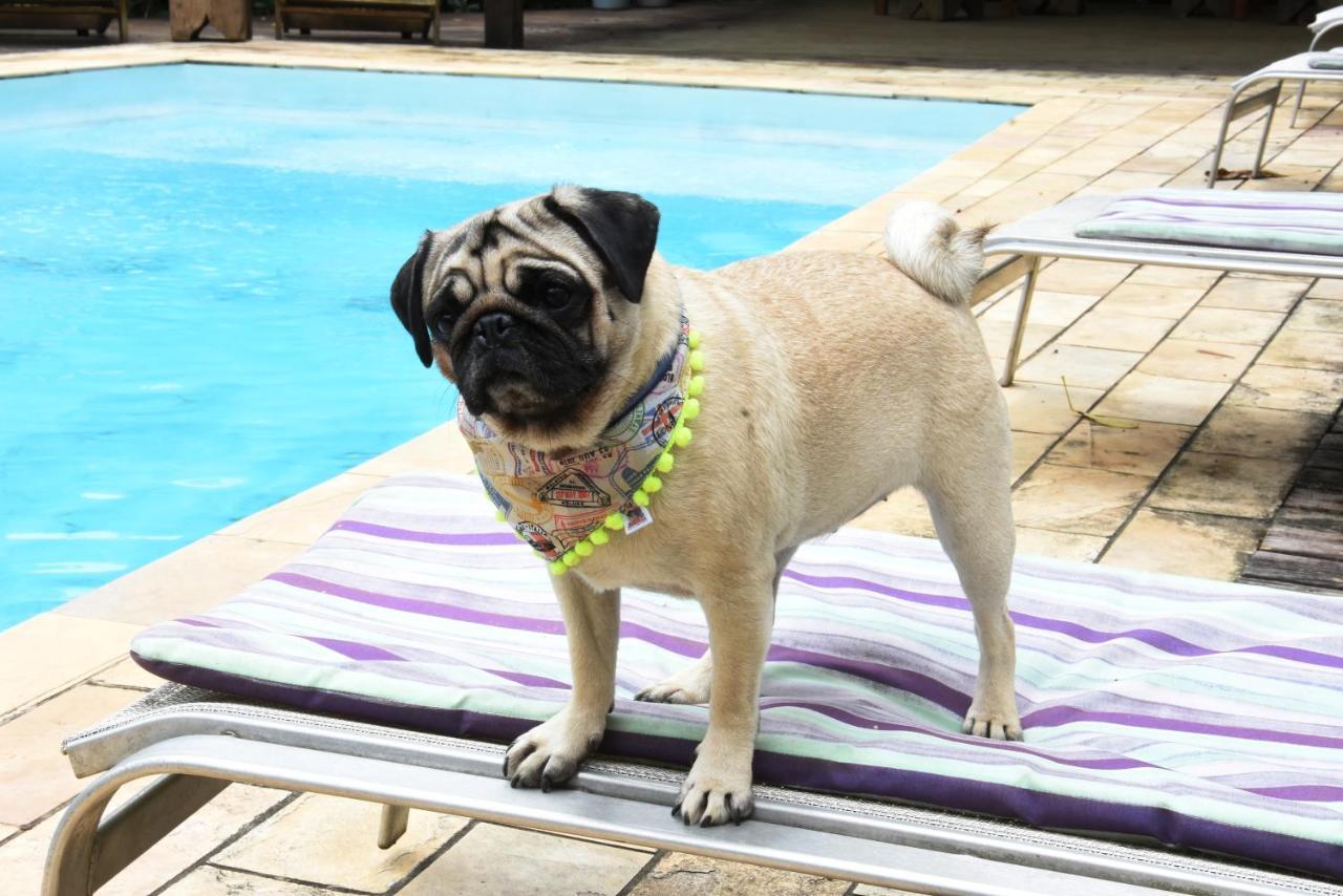 Pousada Portal Do Cacau-Petfriendly Camburi  Dış mekan fotoğraf