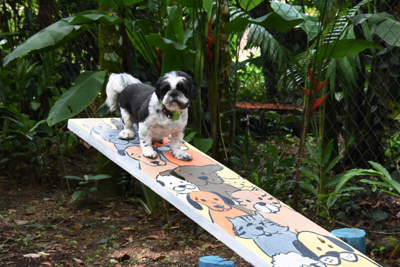 Pousada Portal Do Cacau-Petfriendly Camburi  Dış mekan fotoğraf